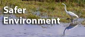 Safer Environment for All